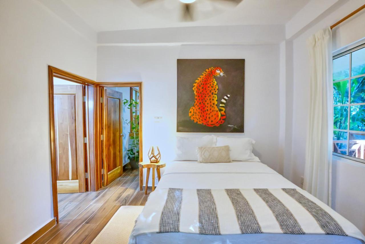 Villa Massis Luxury Villas San Ignacio Εξωτερικό φωτογραφία